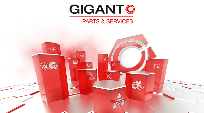 {f:if(condition:'GIGANT Parts & Services!=', then:'GIGANT Parts & Services', else: 'GIGANT Parts & Services\')